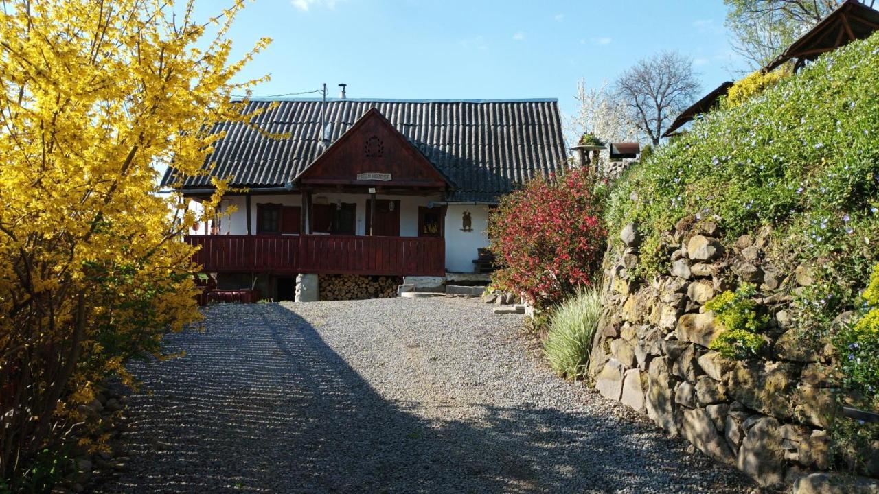 Meselak Villa Ocna de Sus Eksteriør billede