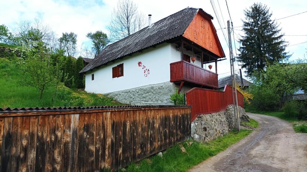 Meselak Villa Ocna de Sus Eksteriør billede